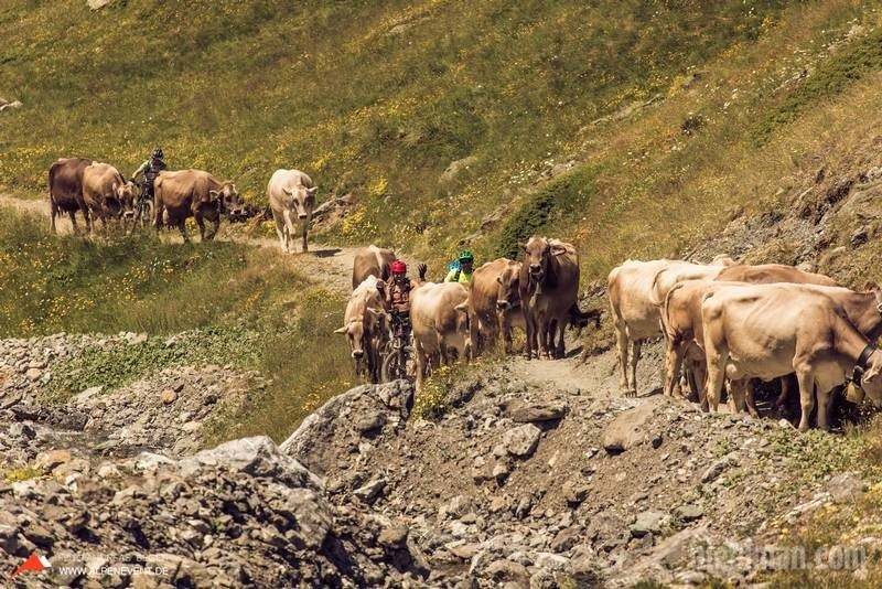 Livigno_0184_800