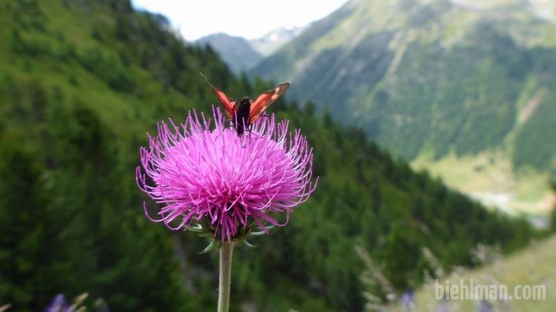 Livigno_0352_800