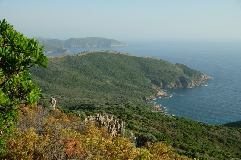 202106_Corsica_DSCF9921