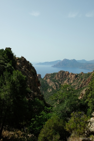 Corsica_06-2022_481