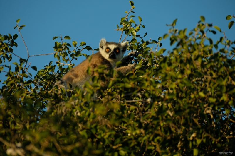 Madagascar_08-2022_381