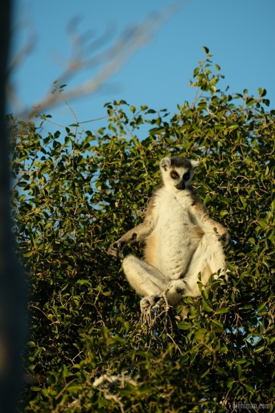 Madagascar_08-2022_382