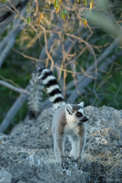 Madagascar_08-2022_383