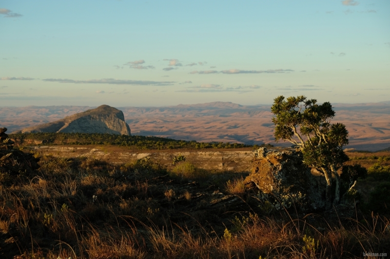 Madagascar_08-2022_407