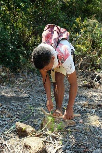 Madagascar_08-2022_433