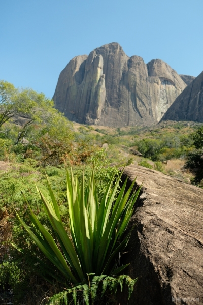 Madagascar_08-2022_434