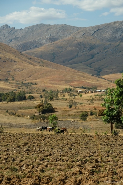 Madagascar_08-2022_437