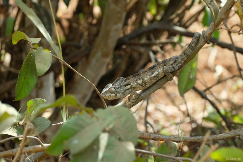 Madagascar_08-2022_449