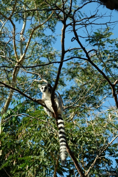 Madagascar_08-2022_456