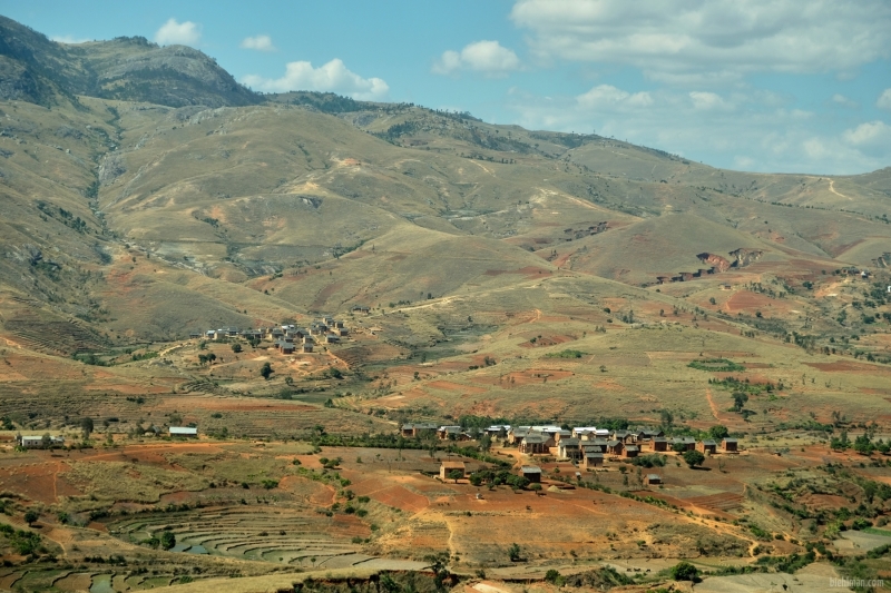 Madagascar_08-2022_457b